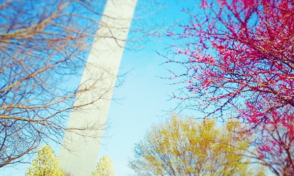 Spring at the Gateway Arch 