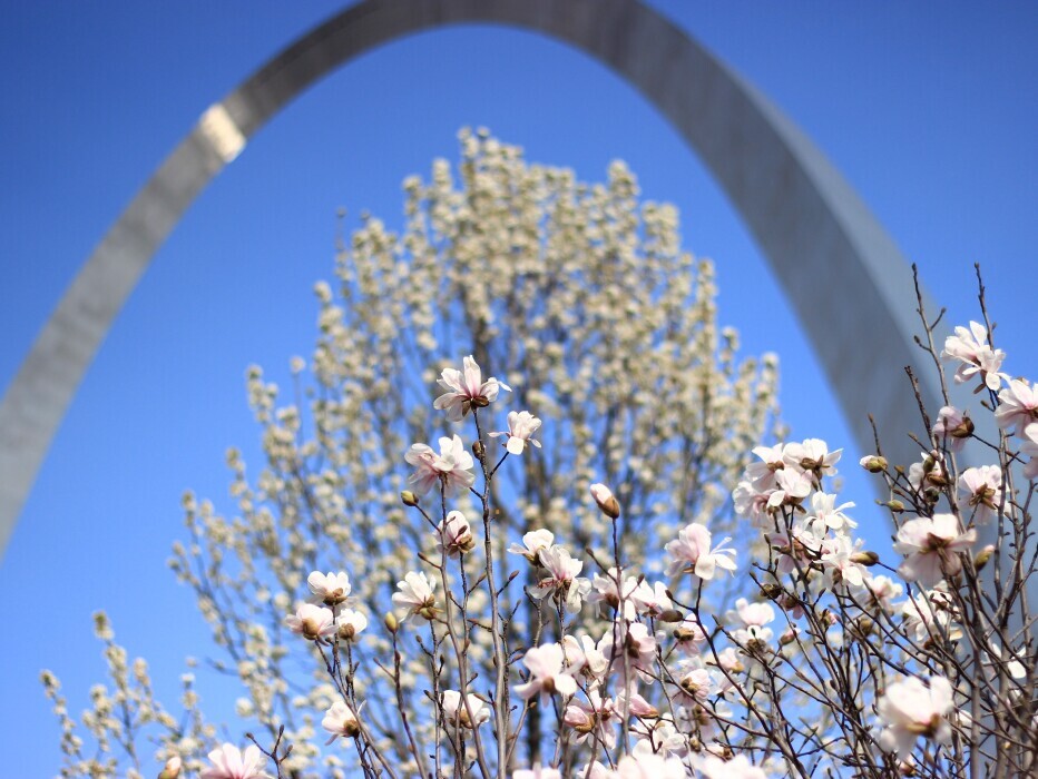 Arch Spring Flowers