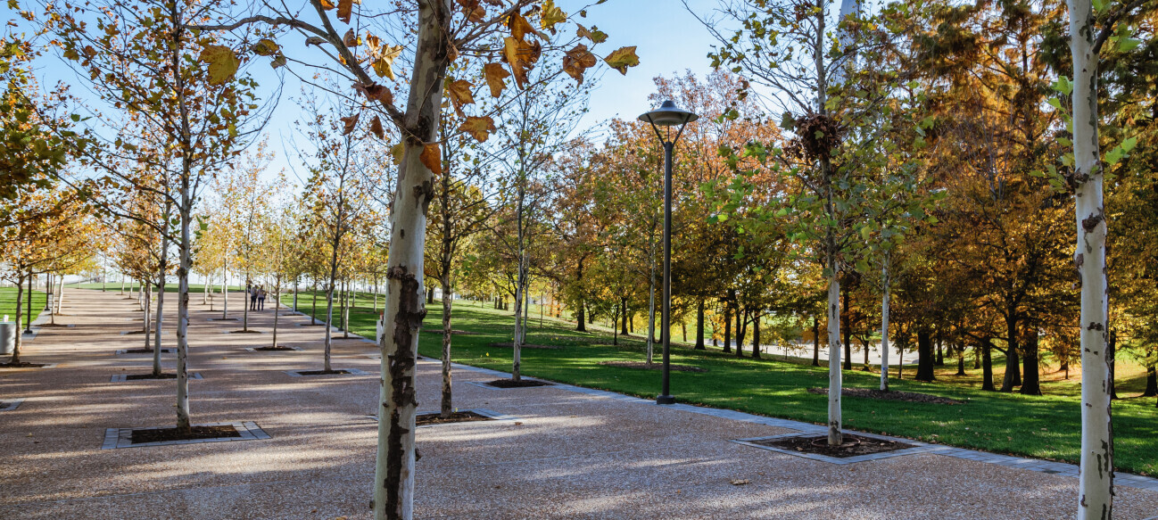  the Arch Park Grounds