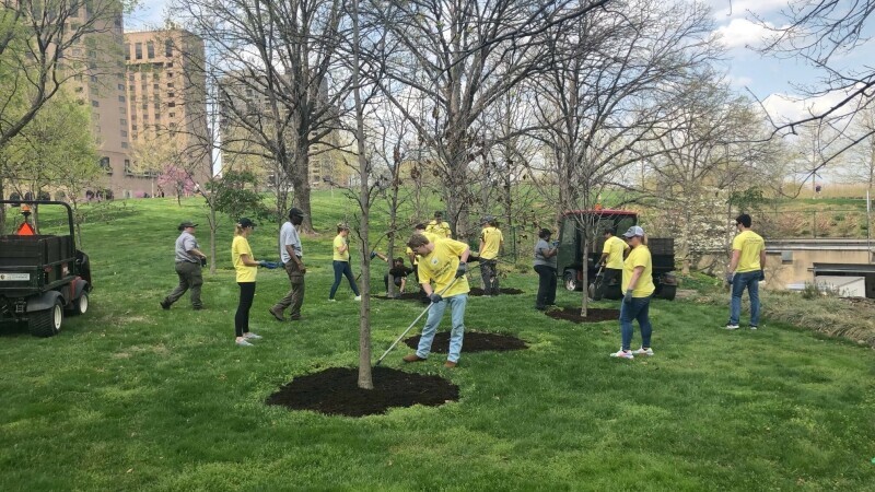 Corporate Volunteers