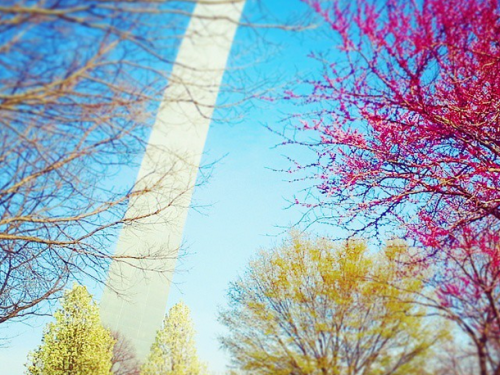 Spring at the Gateway Arch 