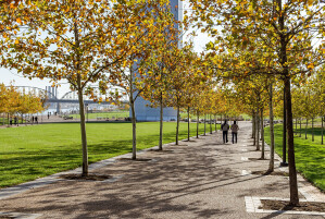Walkways at the park