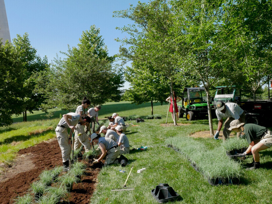 Volunteers planting