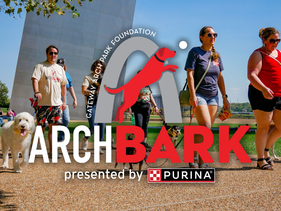 Arch Bark