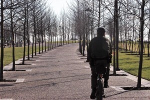 When the project is complete, the park will have more than 4,200 trees with diverse species. The park had about 1,800 before the project.