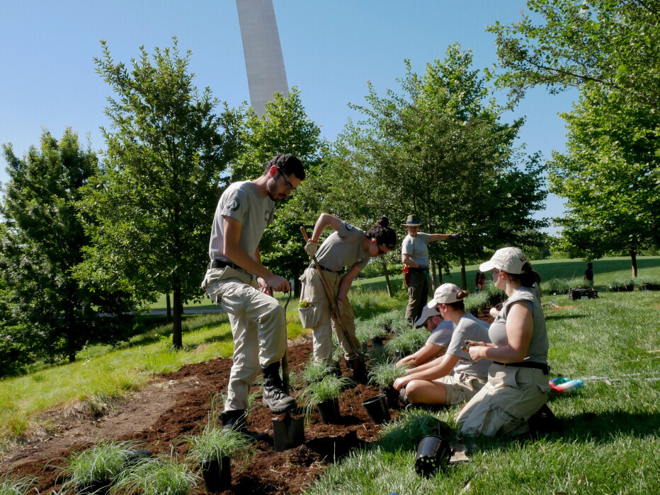 Americorps Planting