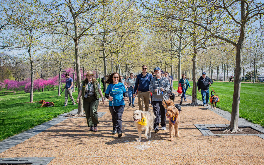 Volunteer Dog Walk