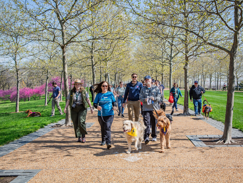 Volunteer Dog Walk