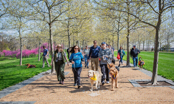 Volunteer Dog Walk