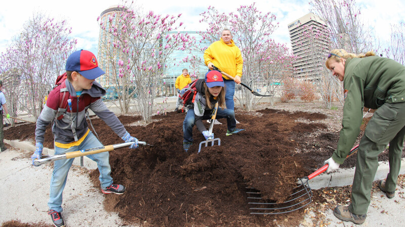 Boy Scout Volunteers